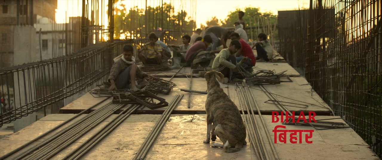 Ohh My Dog screenshot 2