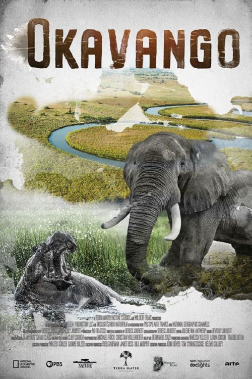 Okavango: River of Dreams (2019) poster