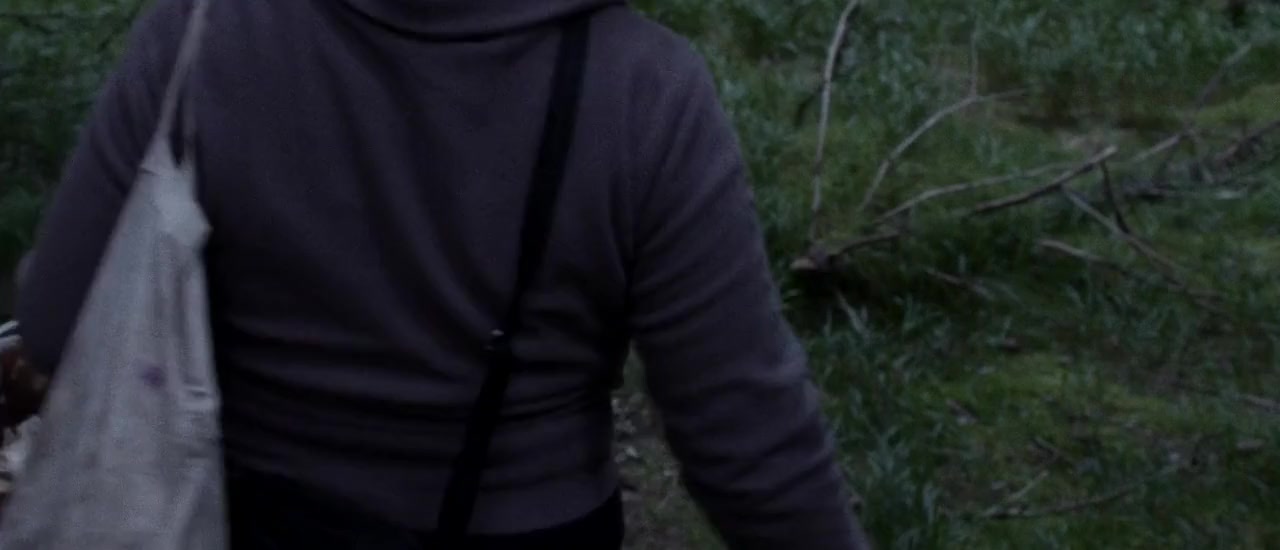 Olanda screenshot 2