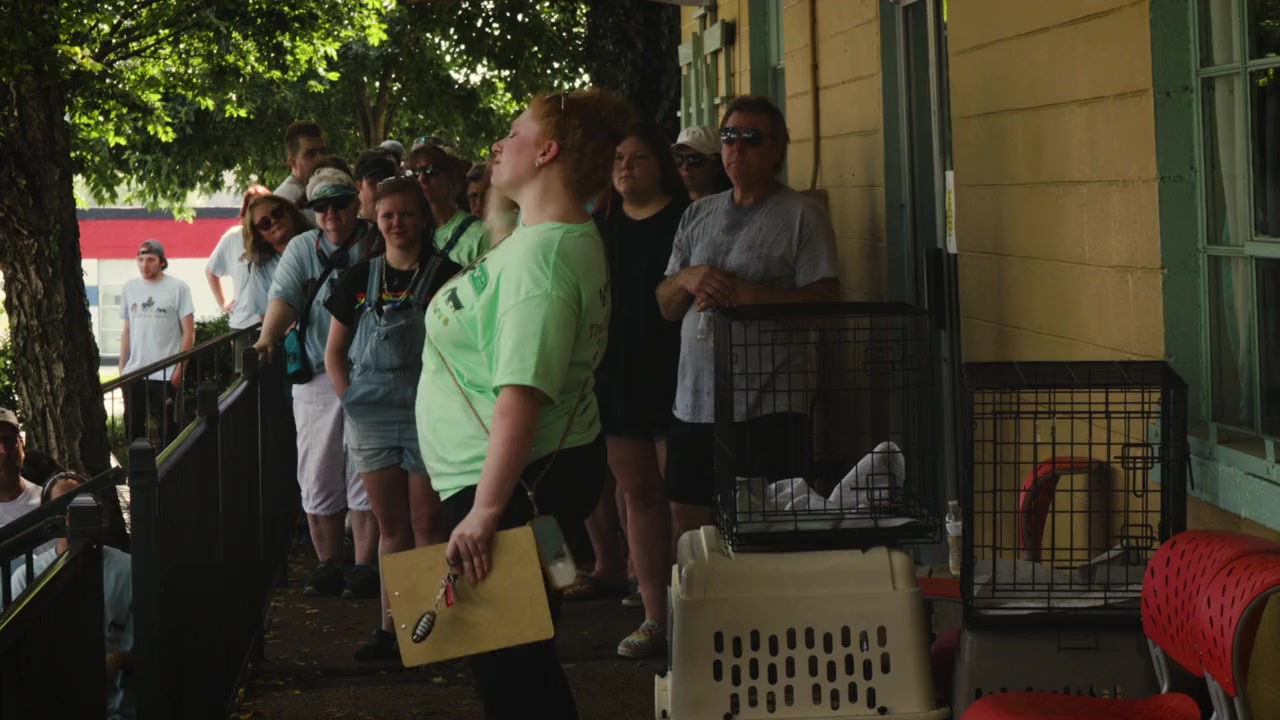 Old Friends: A Dogumentary screenshot 3