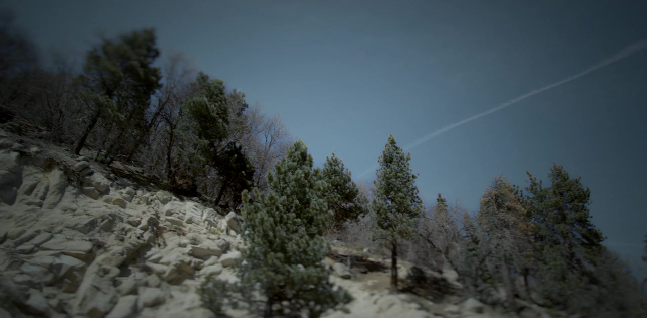 Old Strangers screenshot 2