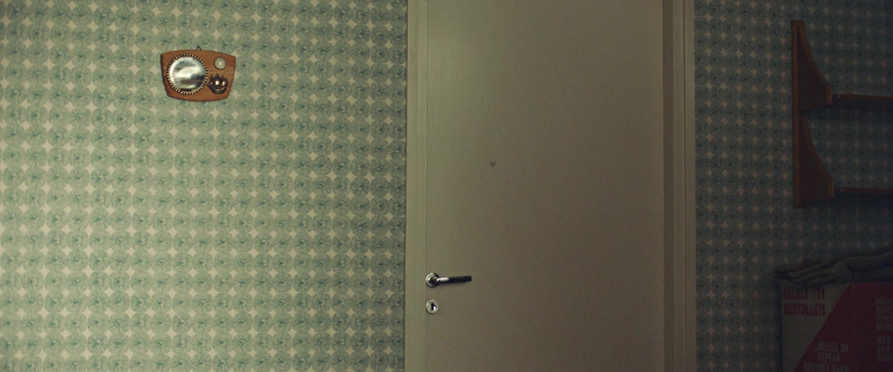 Olen suomalainen screenshot 1