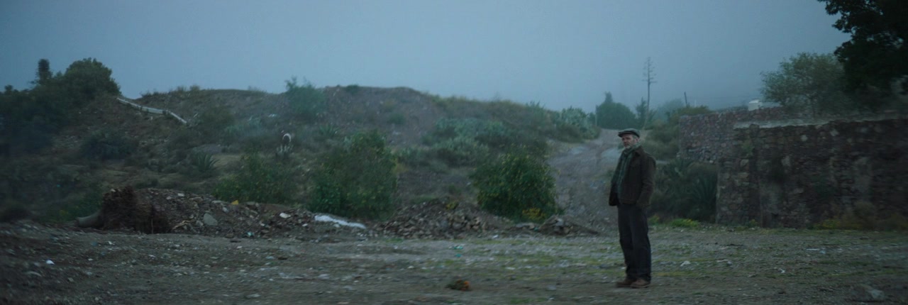 Opus Zero screenshot 1