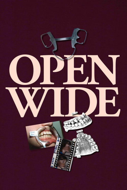 Open Wide (2024) poster