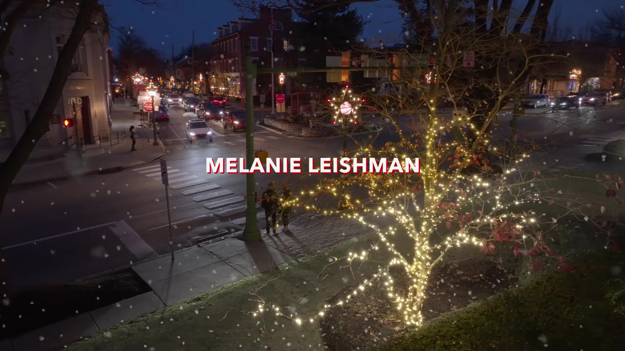 Operation Mistletoe screenshot 2