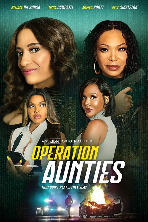 Operation: Aunties (2025) poster