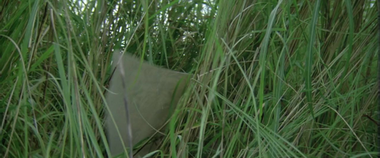 Fei ying gai wak screenshot 1