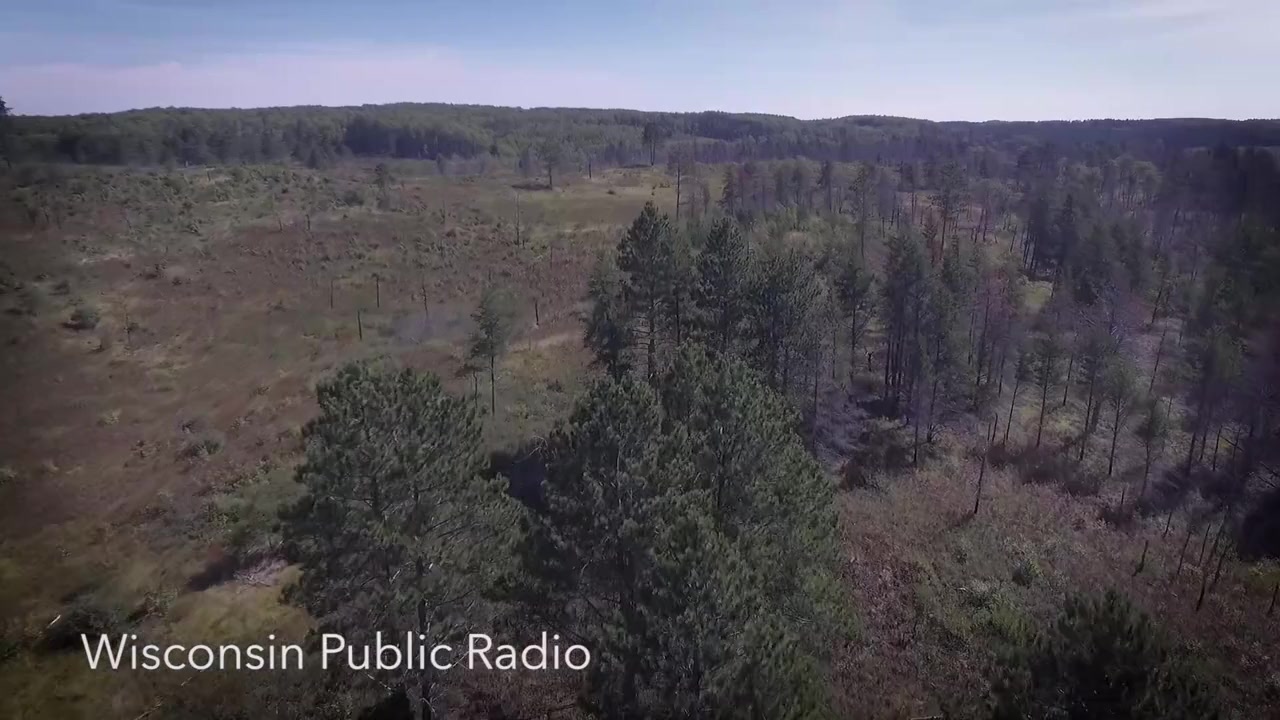 Operation Wolf Patrol screenshot 2