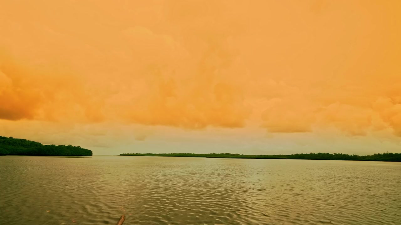Orango screenshot 2