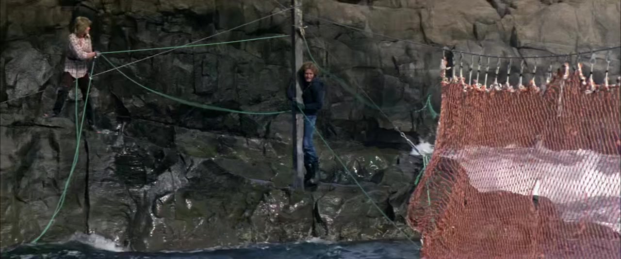 Orca screenshot 1