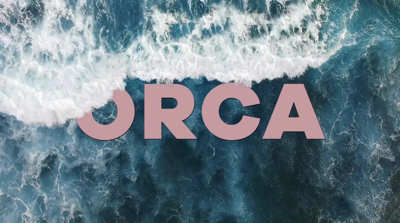 Orca screenshot 1