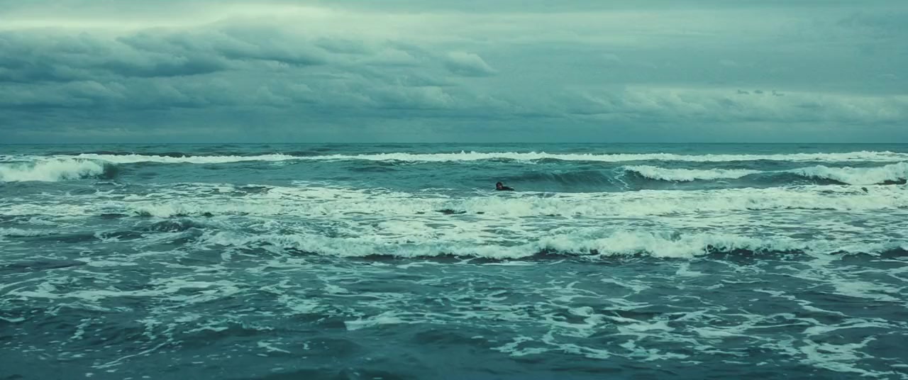 Orca screenshot 2