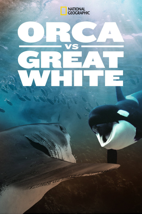 Orca vs. Great White (2021) poster