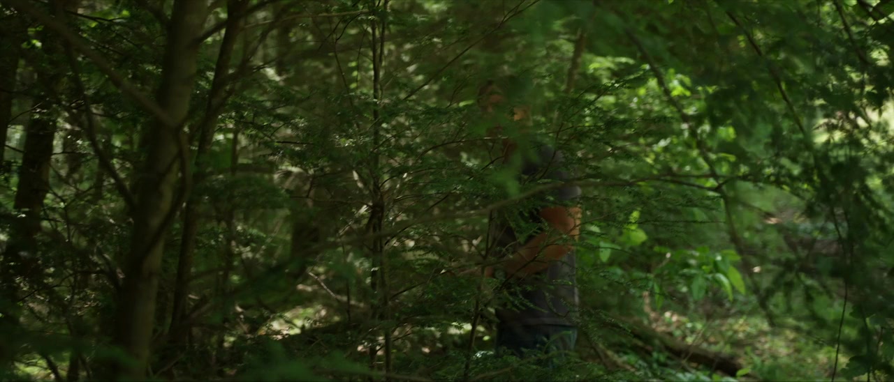 Oro Arrowhead screenshot 1