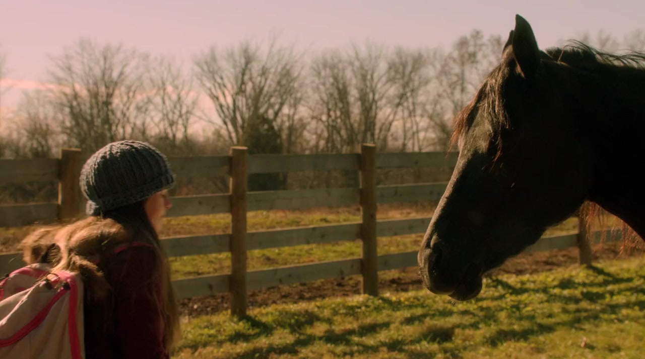 Orphan Horse screenshot 2