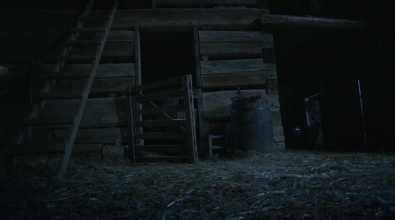 Orphan Horse screenshot 3