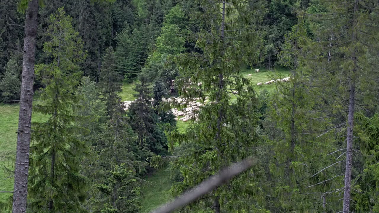 The Gorals - Highlanders of Carpathia screenshot 1