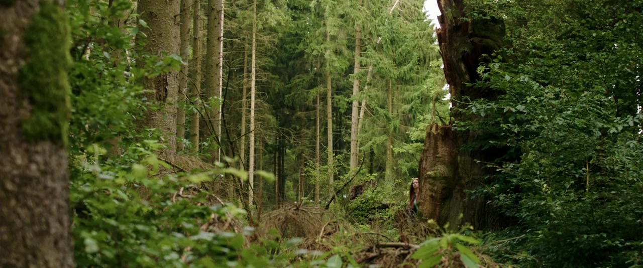 Ostwind 2 screenshot 2