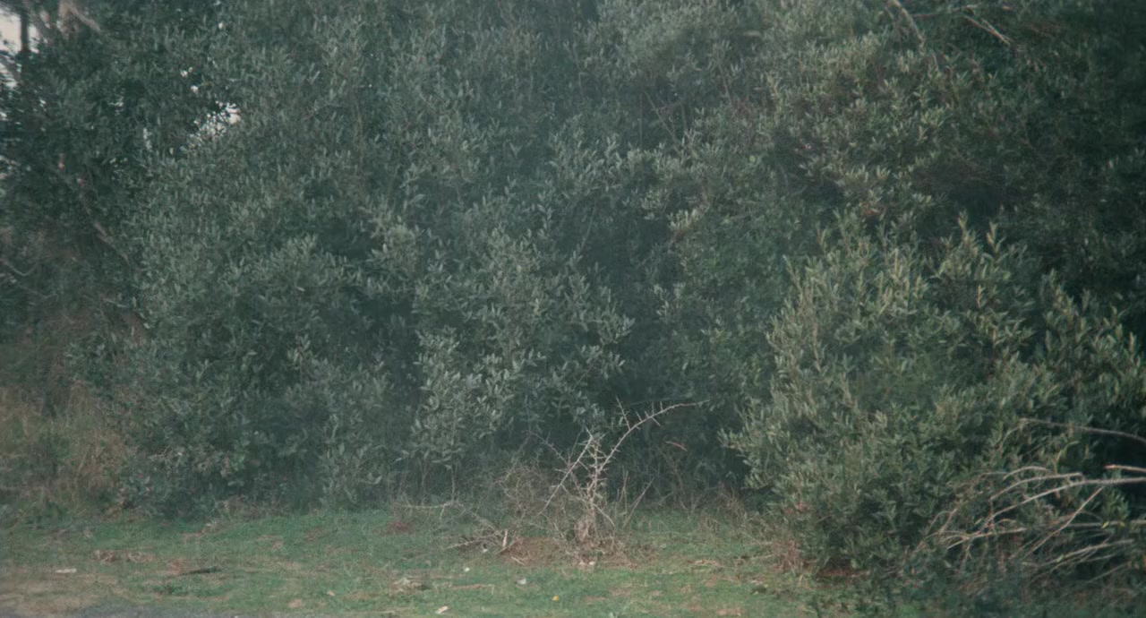 Niente rose per OSS 117 screenshot 1