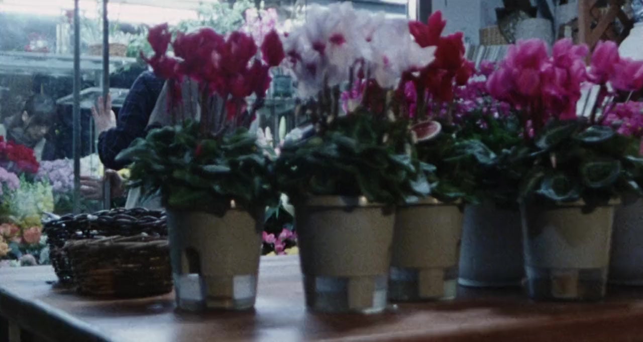 Oto-na-ri screenshot 3