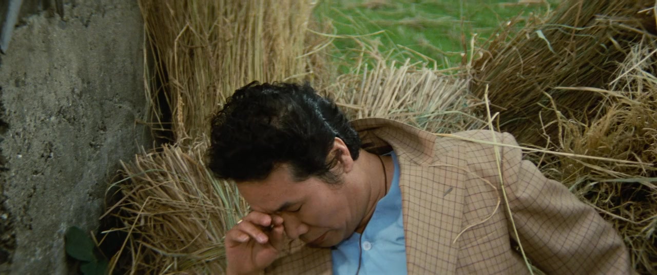 Otoko wa tsurai yo: Torajiro gambare! screenshot 1