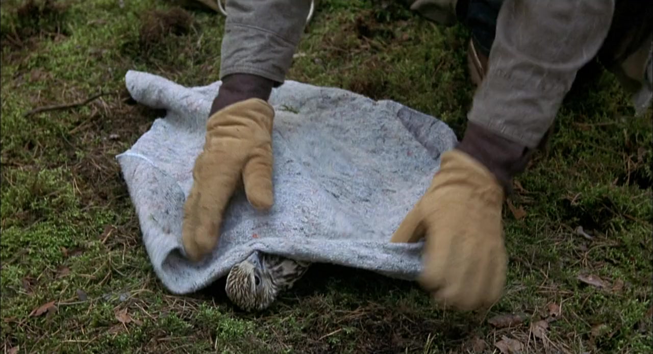 Out of Reach screenshot 3