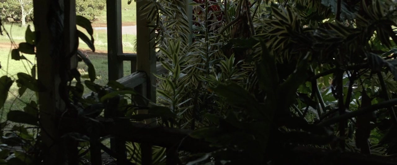 Out of the Shadows screenshot 2