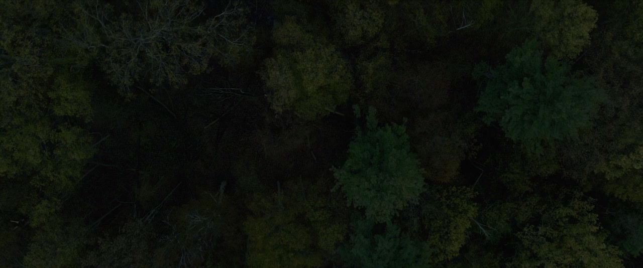 Out Come the Wolves screenshot 3