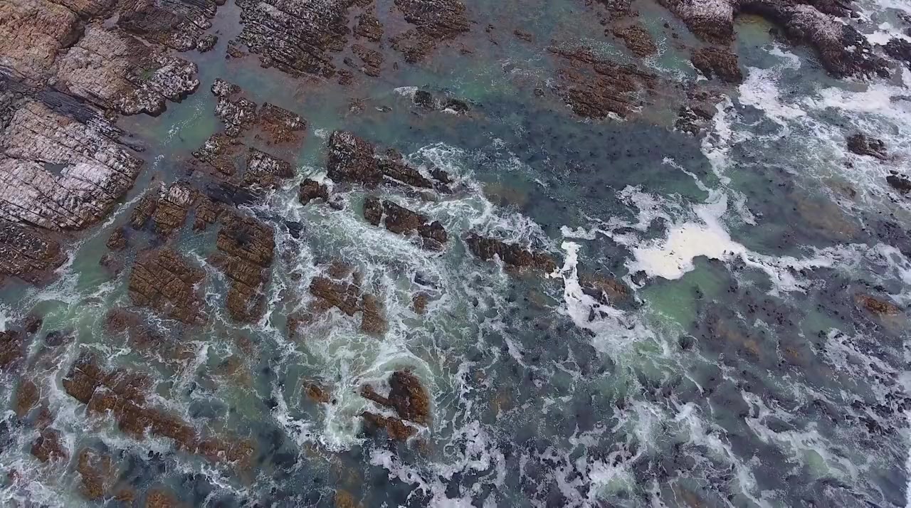 Our Nature screenshot 2