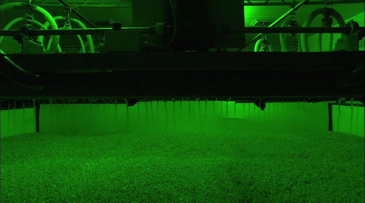 Unser täglich Brot screenshot 3
