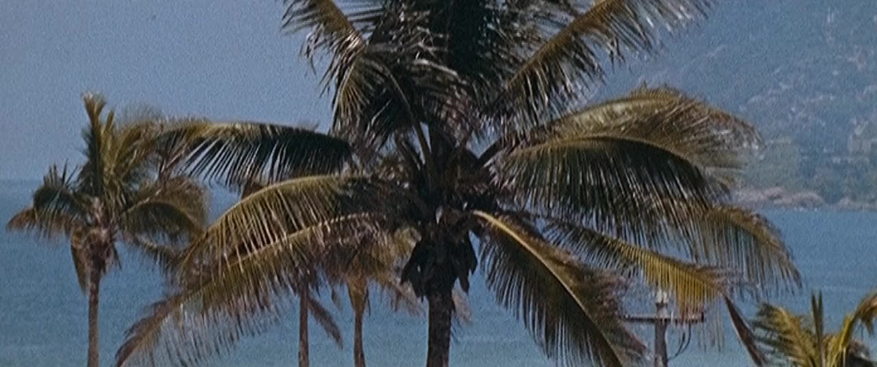 Our Godfather screenshot 2
