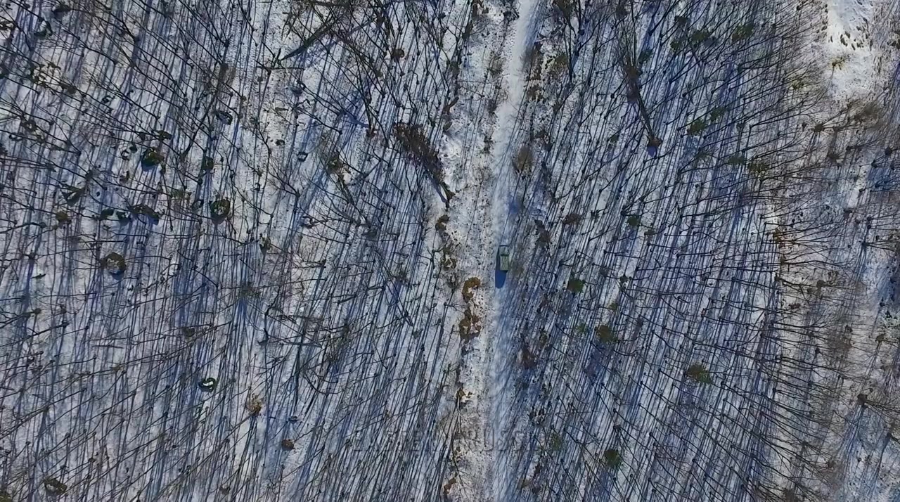 Our Planet: Behind the Scenes screenshot 1