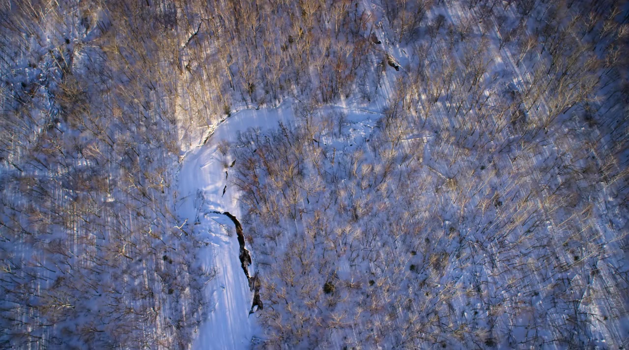 Our Planet: Behind the Scenes screenshot 2