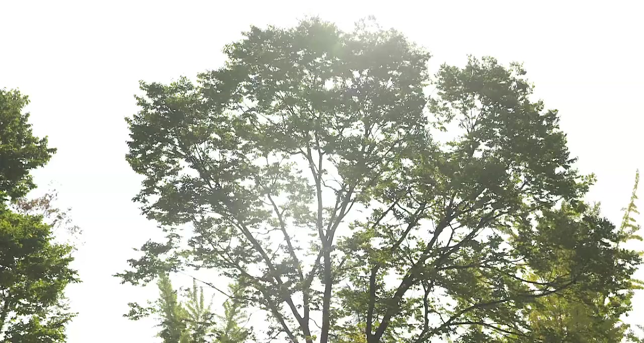 Uri Seonhui screenshot 1