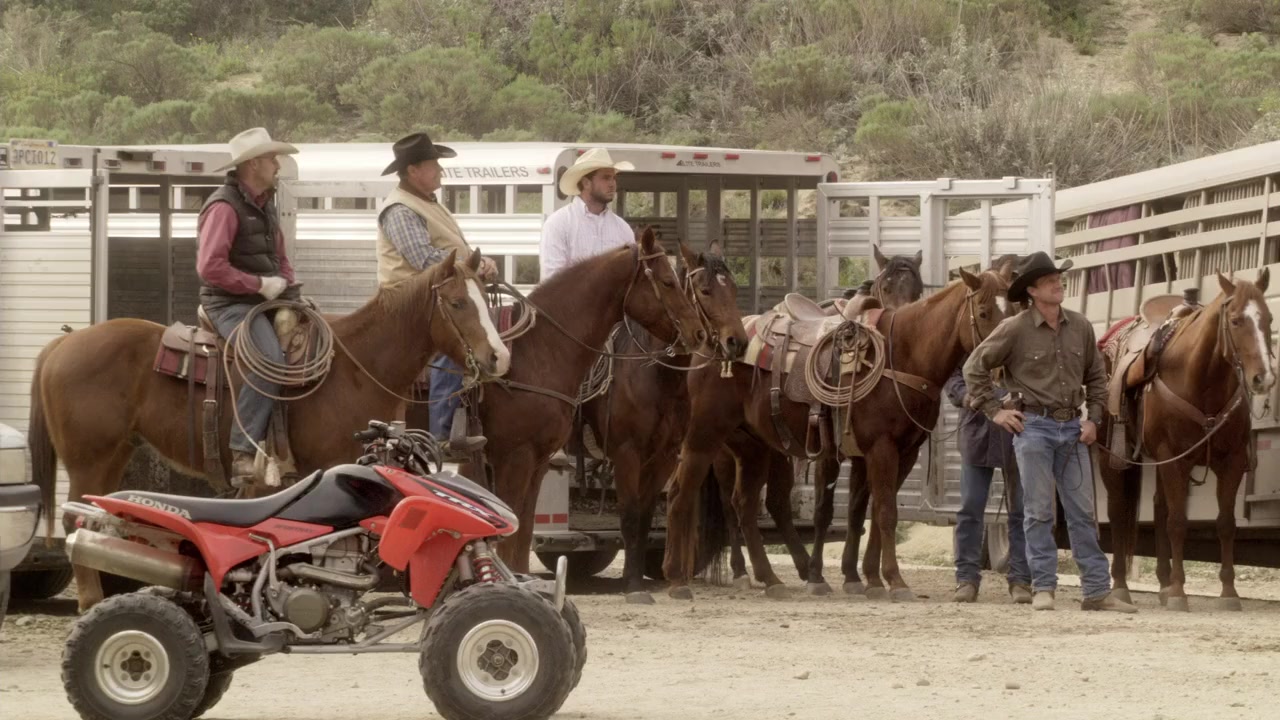 Our Wild Hearts screenshot 1