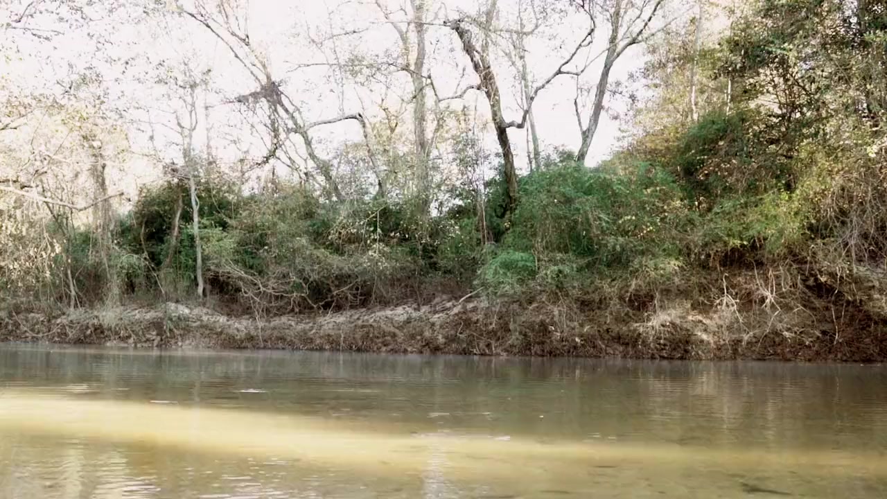 Ozark Sharks screenshot 1