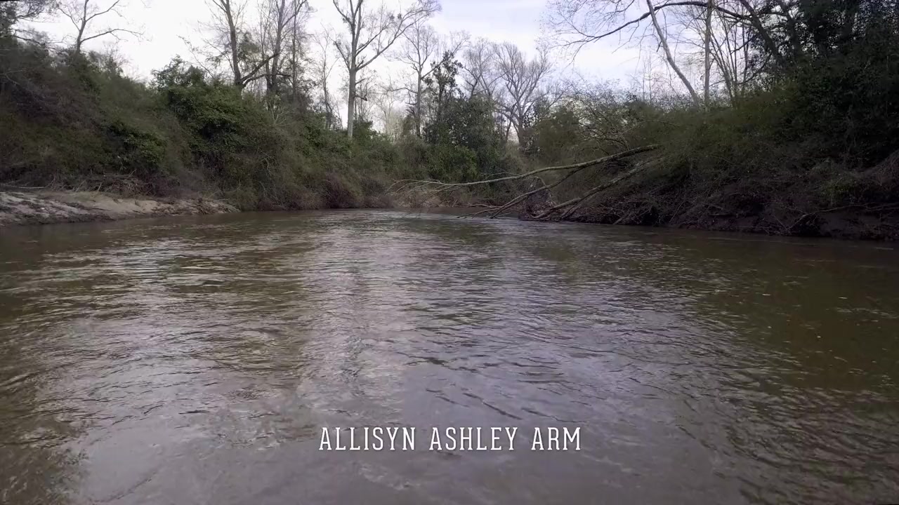 Ozark Sharks screenshot 2