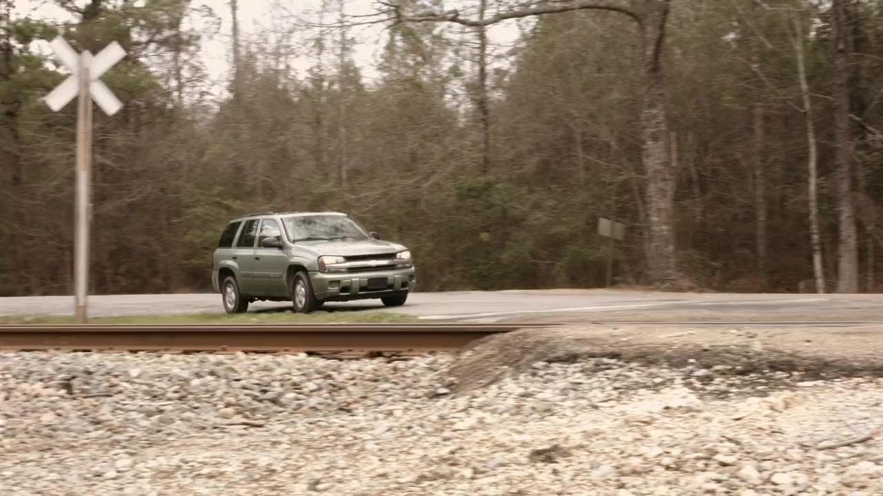 Ozark Sharks screenshot 3