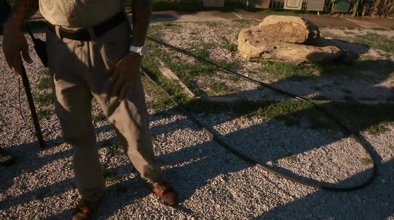 Louis Theroux: Shooting Joe Exotic screenshot 1
