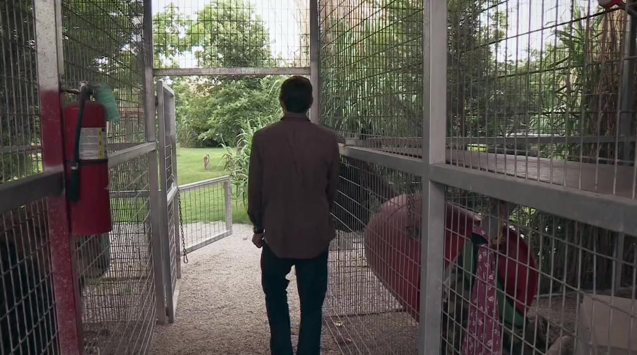 Louis Theroux: Shooting Joe Exotic screenshot 2