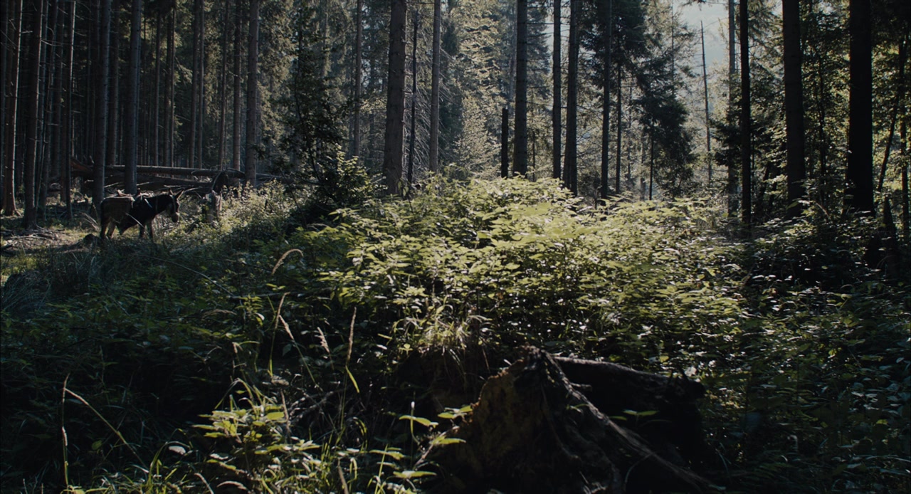 Dragoste 1: Câine screenshot 1
