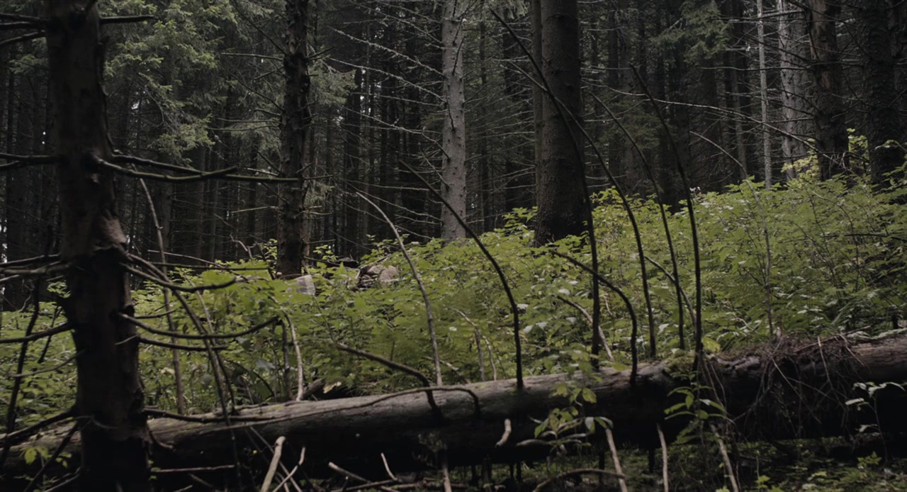Dragoste 1: Câine screenshot 2