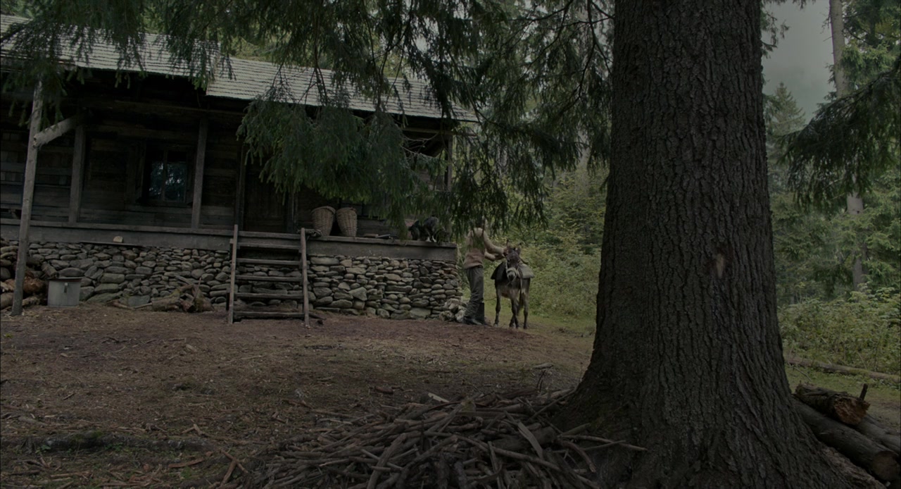 Dragoste 1: Câine screenshot 3