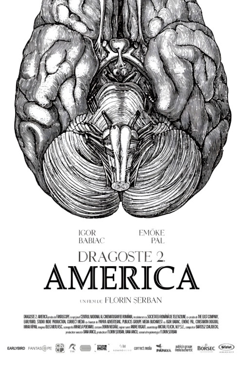 Dragoste 2. America (2018) poster