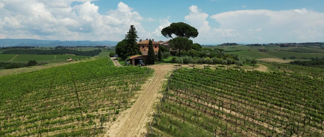 Love, Wine & Salt: A Tuscan Romance screenshot 1
