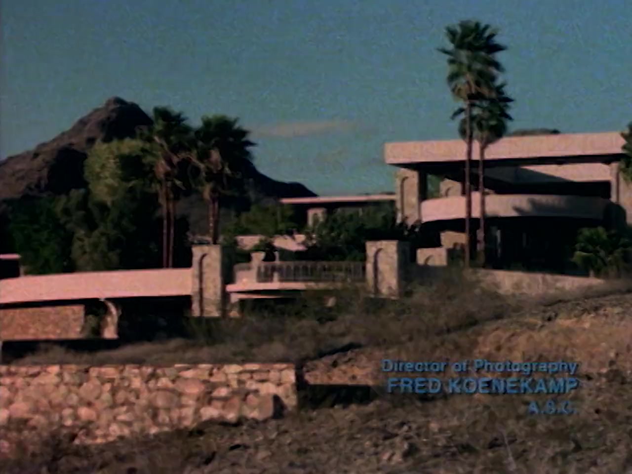 Love and Bullets screenshot 2