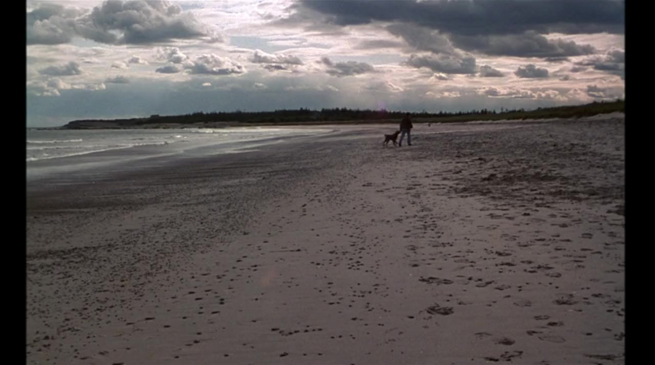 Love and Death on Long Island screenshot 3