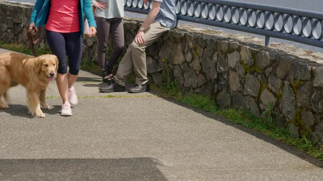 Love and Sunshine screenshot 1
