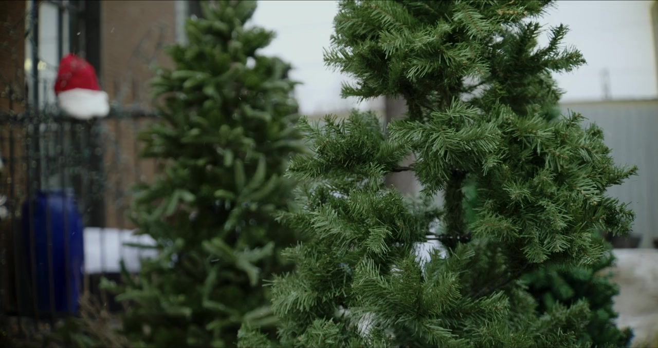 Love at the Christmas Contest screenshot 1