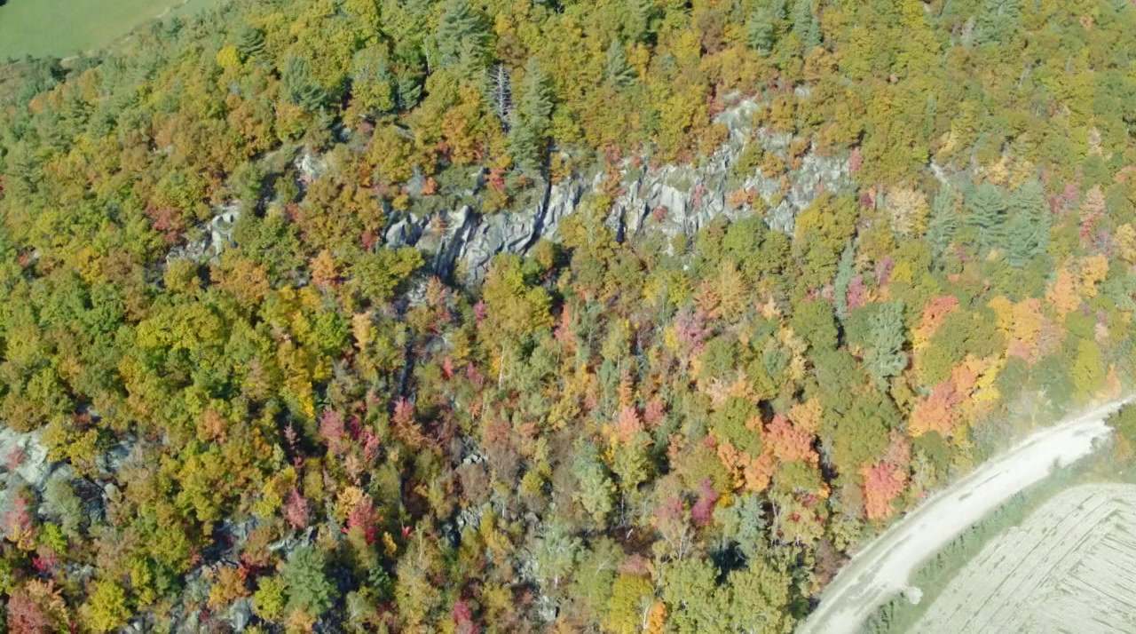 Love at Look Lodge screenshot 1